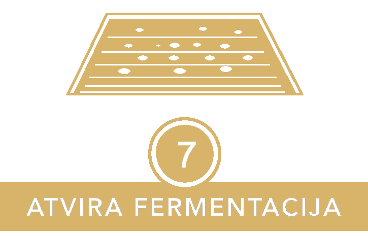 atvira-fermentacija_lt